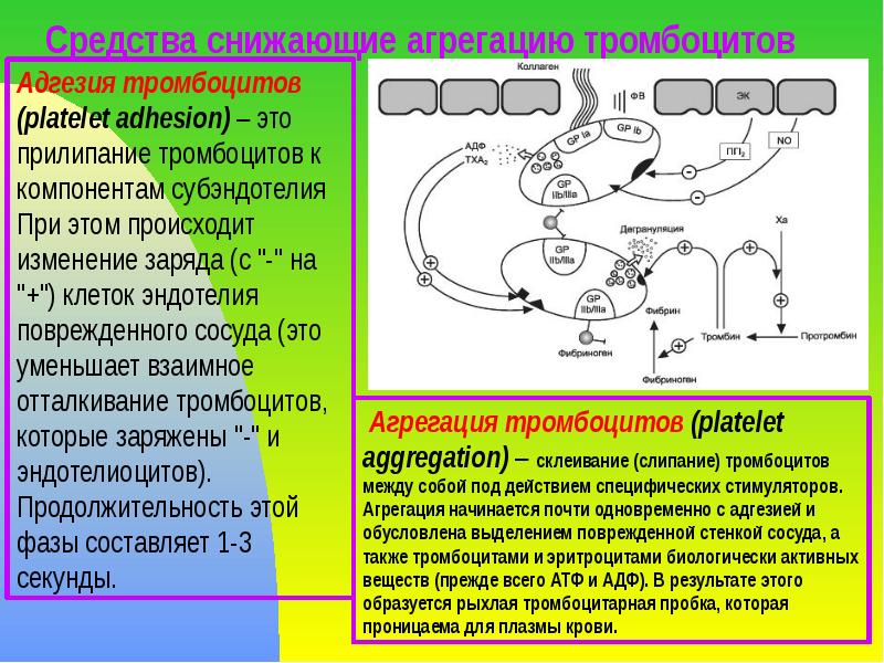 Средства снижающие агрегацию тромбоцитов