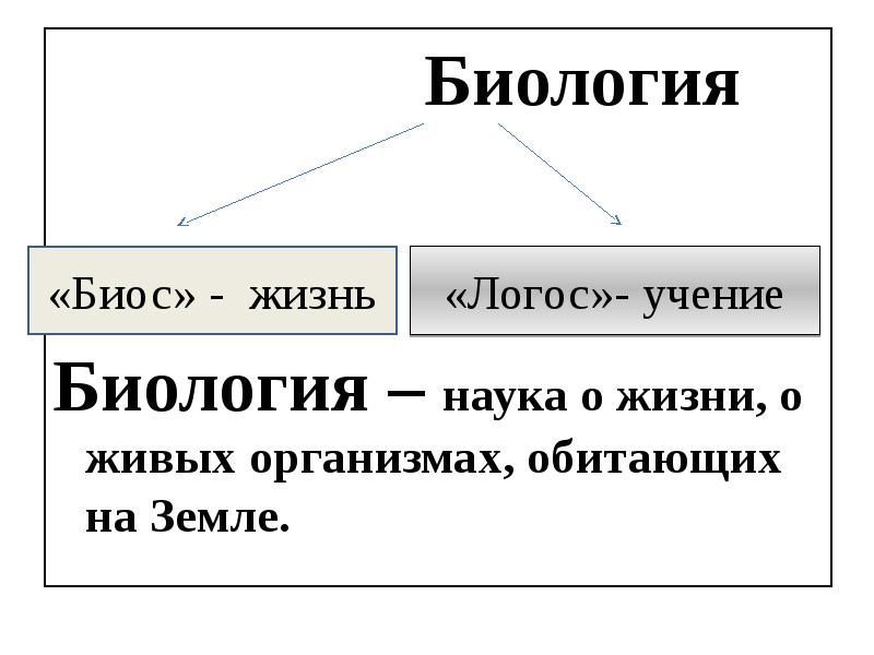 Реферат по биологии