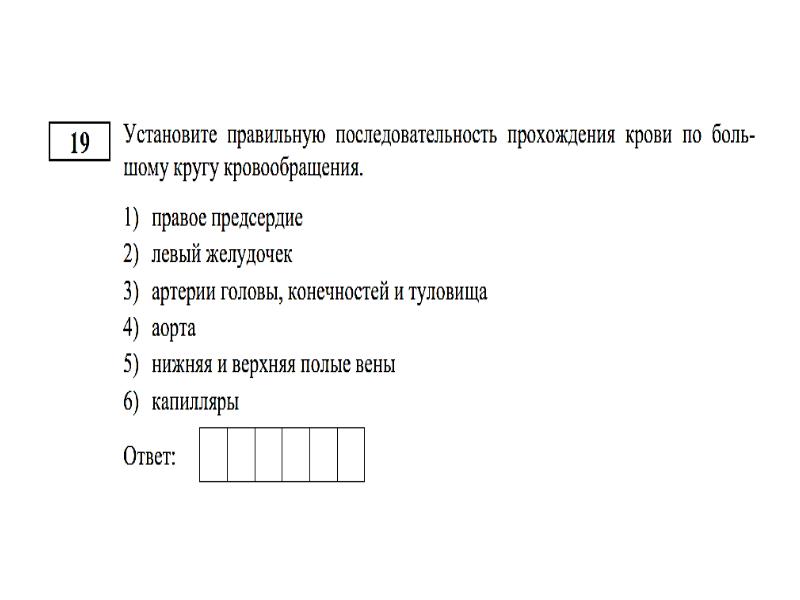 Установите правильную последовательность прохождения крови. Вопросы из ЕГЭ.