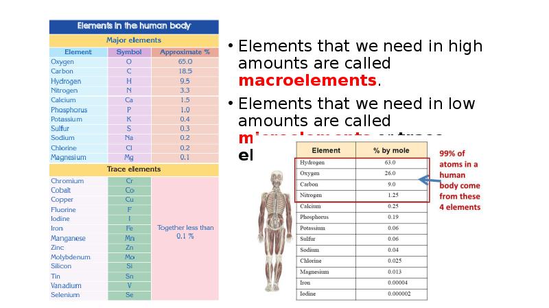 Elements that we need in high amounts are called macroelements. Elements