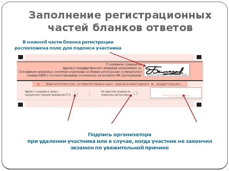 Проверьте правильность заполнения формы. Заполнение регистрационных форм. Заполнение бланков ответов для организаторов. Участник ГИА подпись в бланке регистрации. Картинка регистрационной части Бланка ответов.