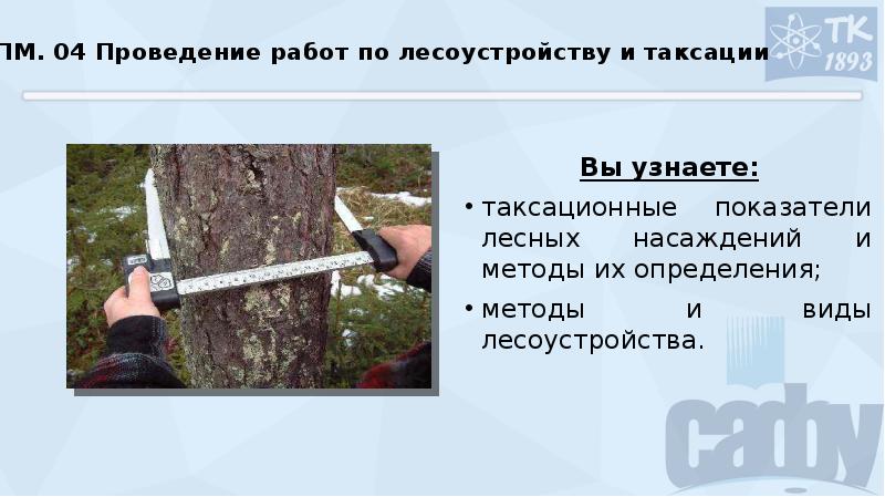 Тест по таксации часть 1. Видовое число в Лесной таксации. Разряд таксации леса определяется. Основные таксационные характеристики лесного насаждения.