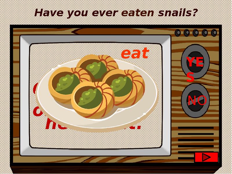 Have you ever. Have you ever eaten. Ever eaten. I have eaten Snails.