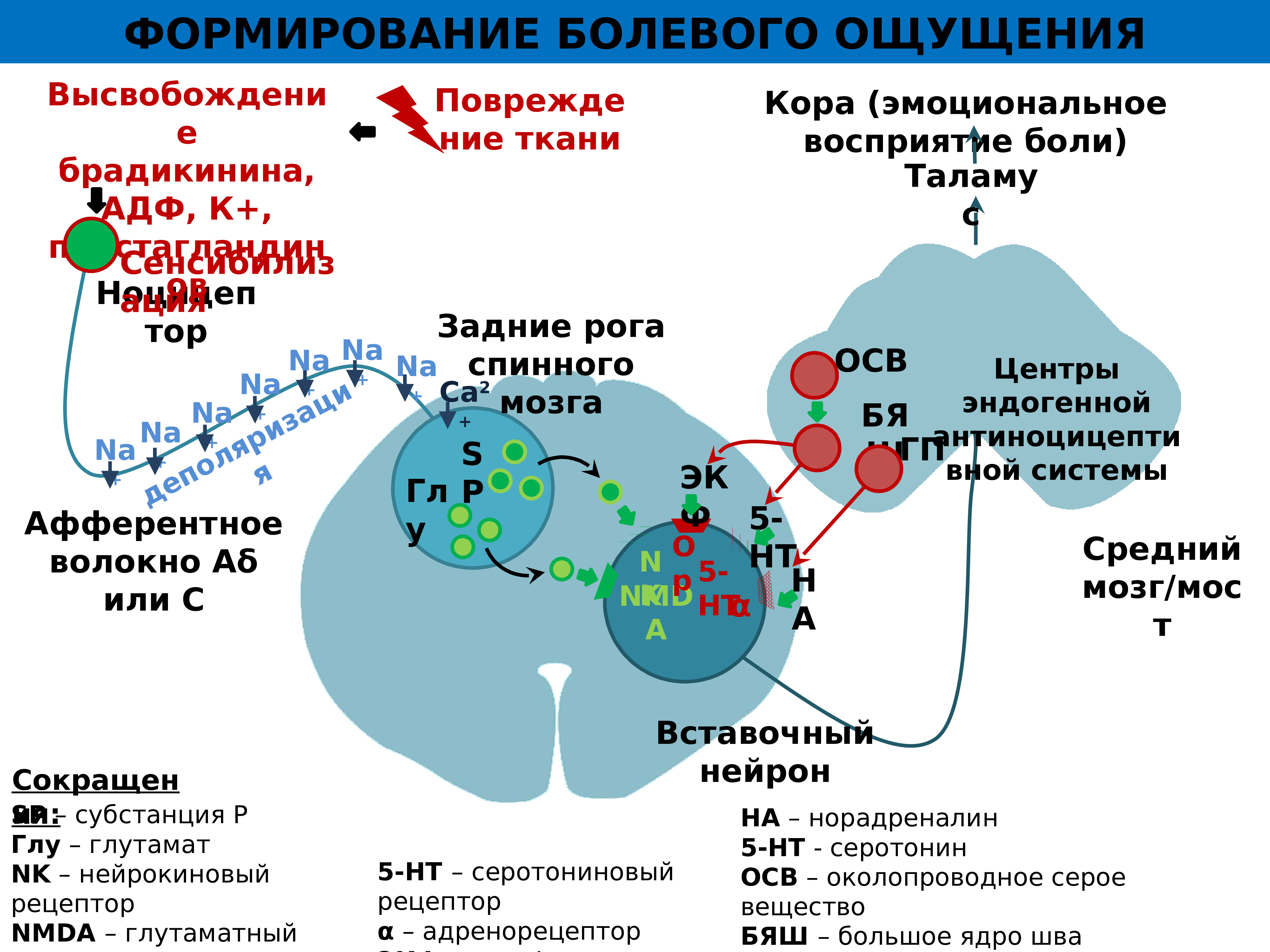 Анальгетики картинки для презентации