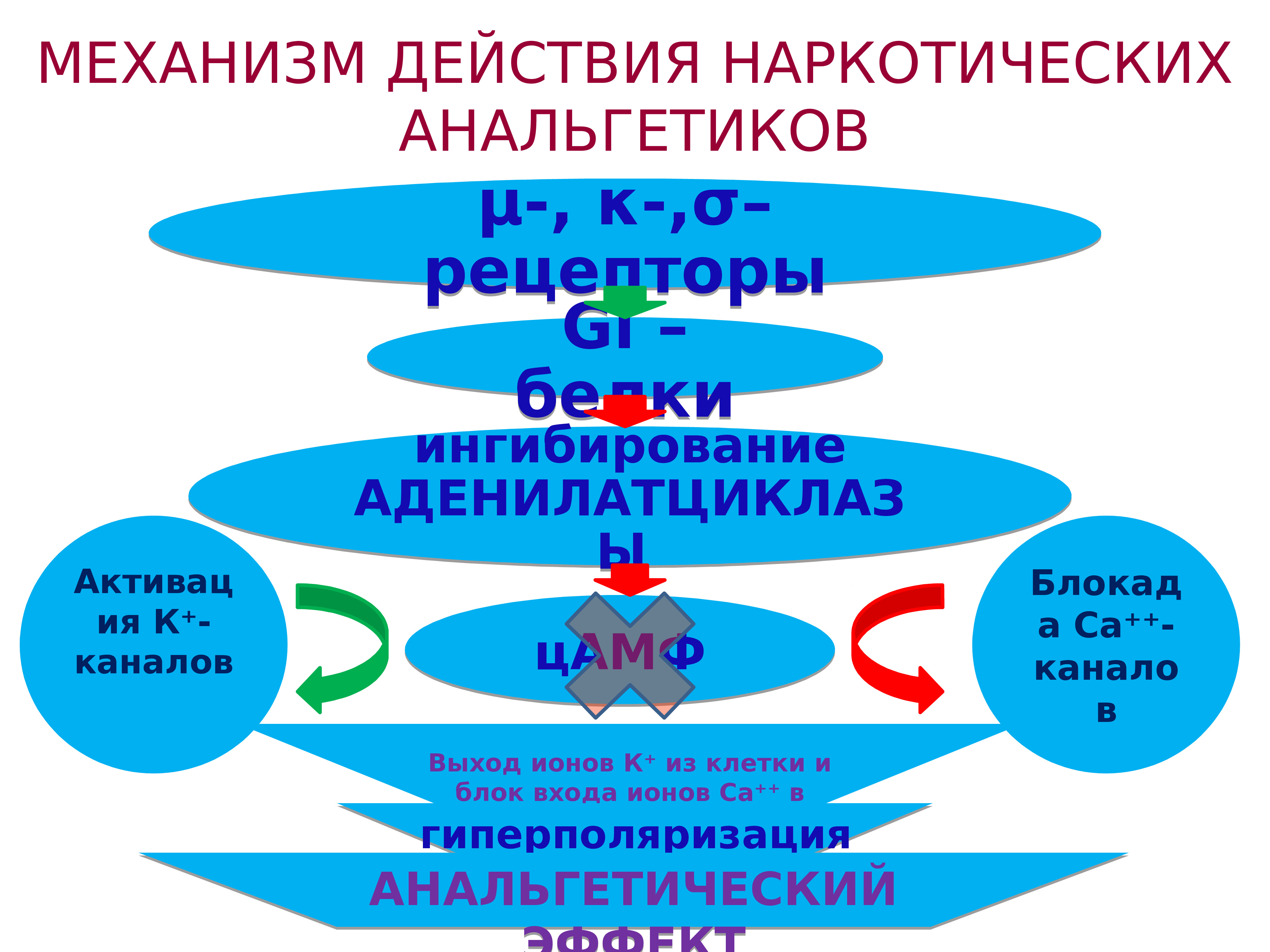 Механизм анальгетиков. Механизм действия наркотических анальгетиков. Механизм обезболивающего действия наркотических анальгетиков. Механизм болеутоляющего действия наркотических анальгетиков. Морфин механизм действия.