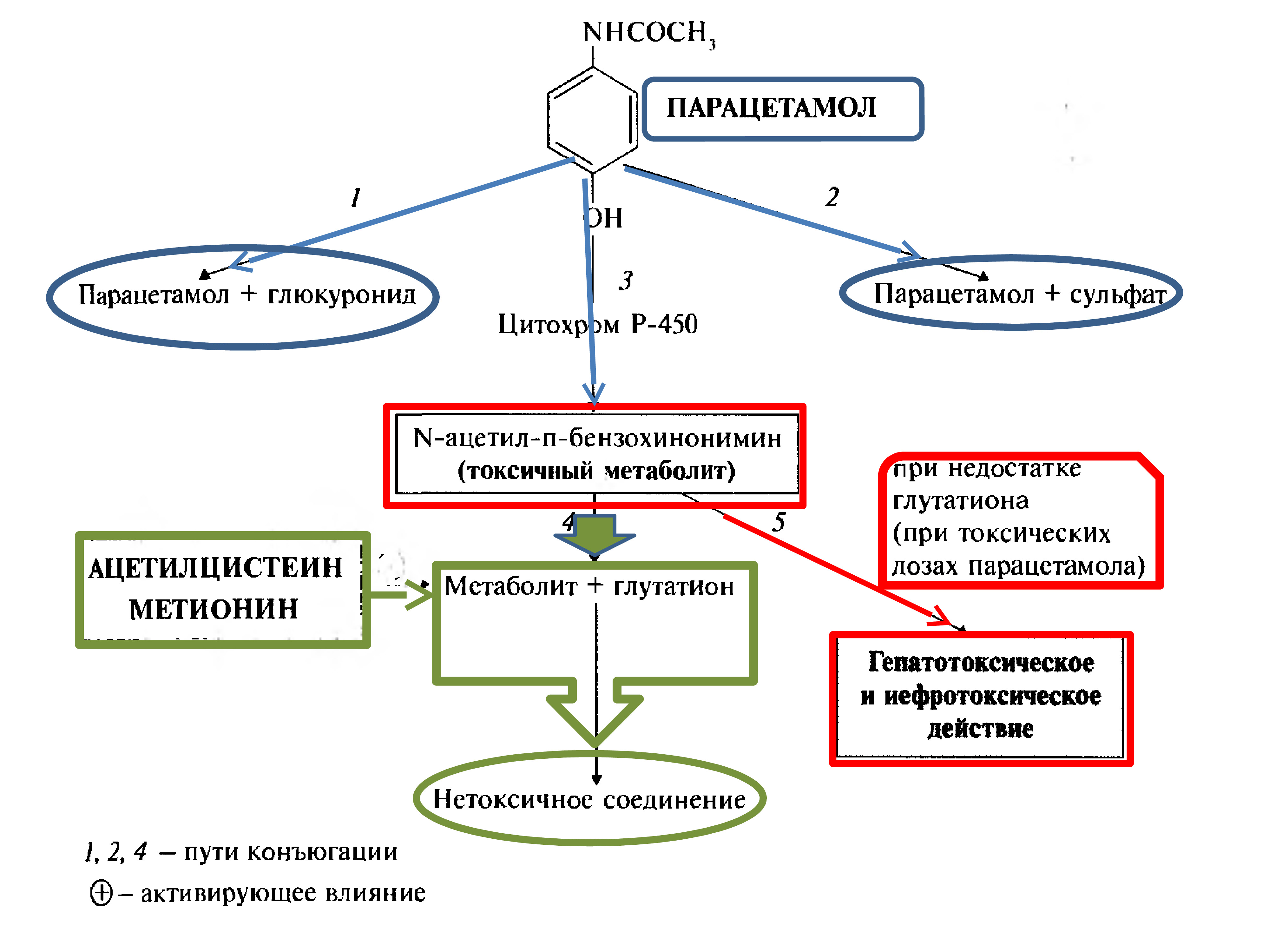 Механизм Действия Анальгетика