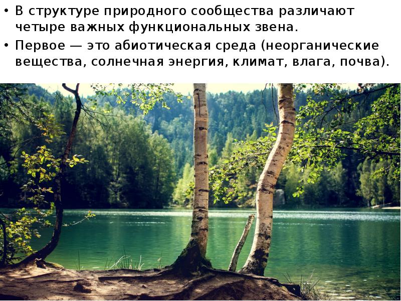 Понятие о природном сообществе биогеоценозе и экосистеме 6 кл презентация пономарева