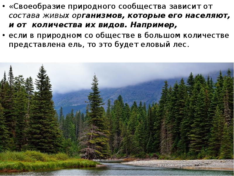 Понятие о природном сообществе биогеоценозе и экосистеме 6 кл презентация