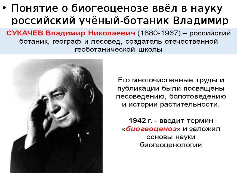 Термин наука ввел. Биогеоценоз Сукачев Владимир Николаевич. Владимир Николаевич Сукачев 1942. Сукачёв Владимир Николаевич ботаник. Биогеоценоз Сукачев.