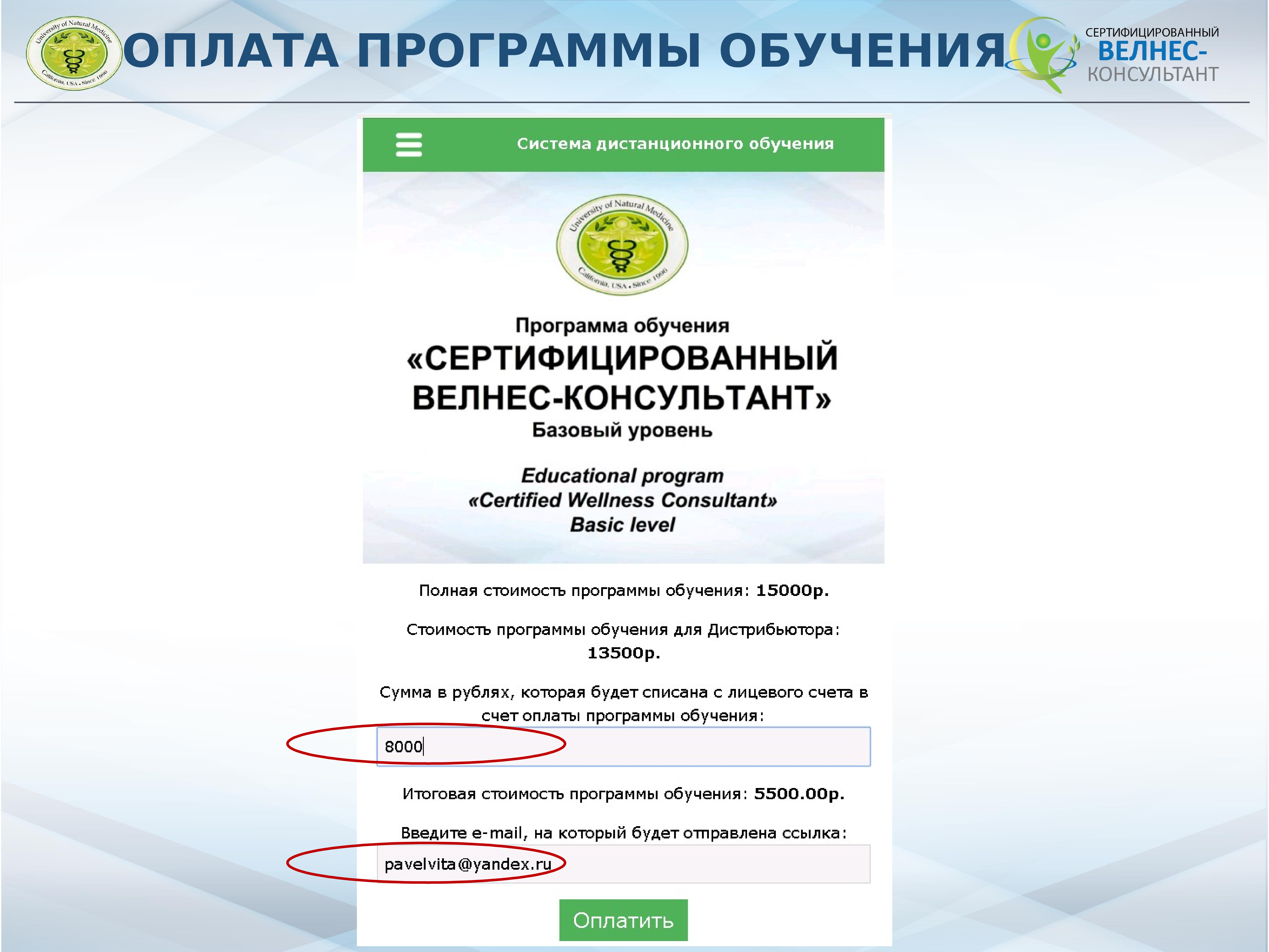 Консультант выплаты. Велнесс консультант. программой обучения &quot;schulz academy&quot;.