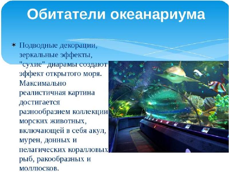 Технология 3 класс проект океанариум 3 класс