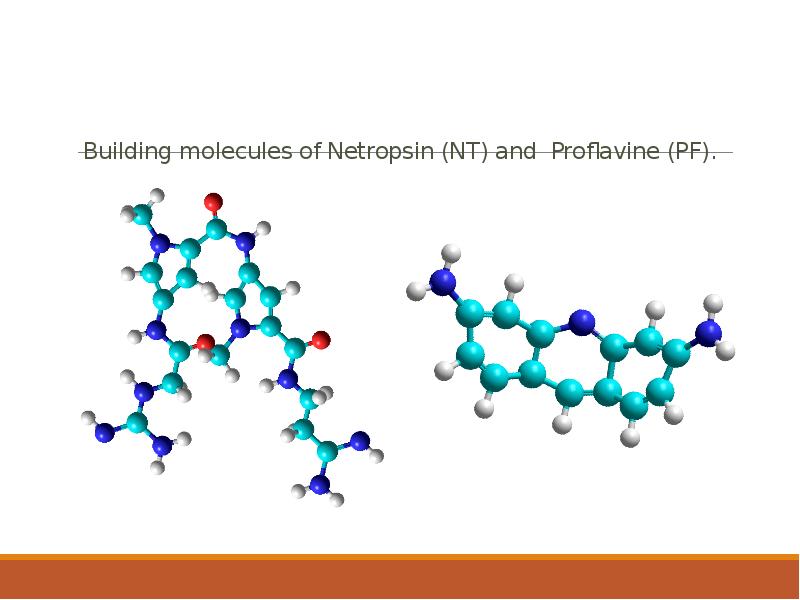 Building molecules of Netropsin (NT) and Proflavine (PF).