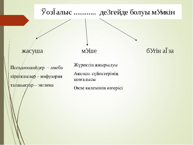 Омыртқалы жануарлар презентация