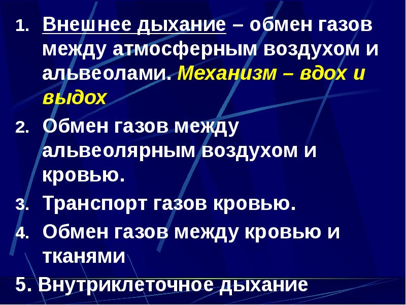 Внешнее дыхание презентация