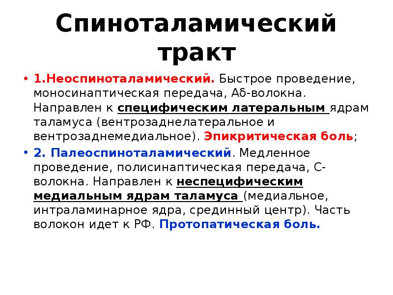 Схема структурной организации восприятия первичной локализованной боли