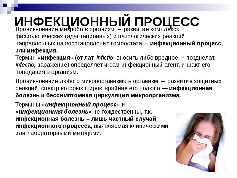 Типы инфекционных процессов