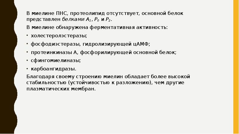 В миелине ПНС, протеолипид отсутствует, основной белок представлен белками А1, Р0 и Р2.
В миелине В миелине ПНС, протеолипид отсутствует, основной белок представлен белками А1, Р0 и Р2.
В миелине