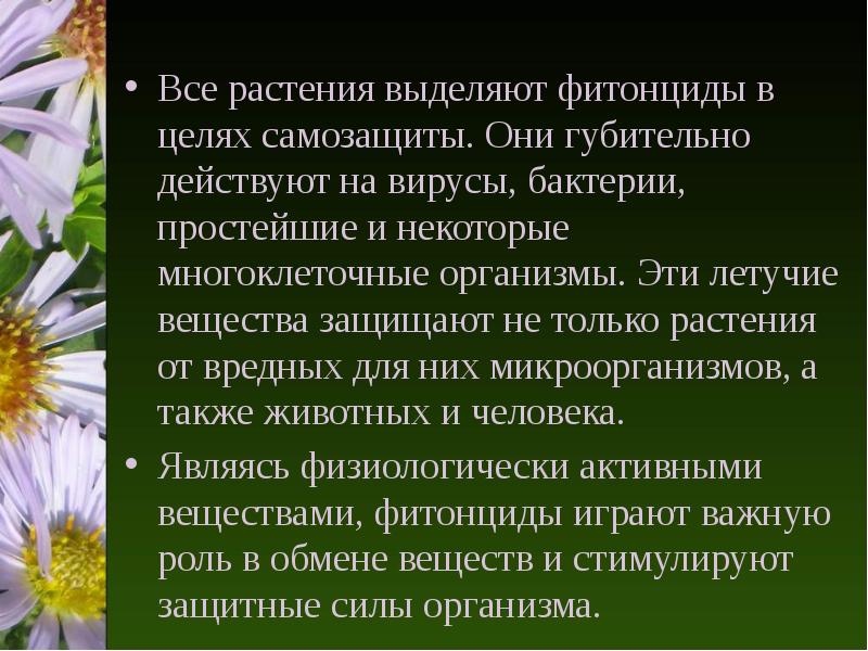 Его выделяют растения. Растительный организм. Фитонциды растений. Организм растения. Растения и способы их самозащиты.