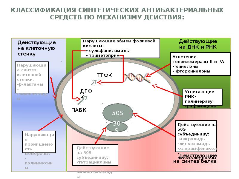 Синтетические противомикробные средства презентация