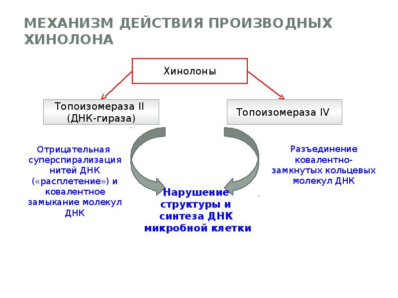 Синтетические противомикробные средства презентация