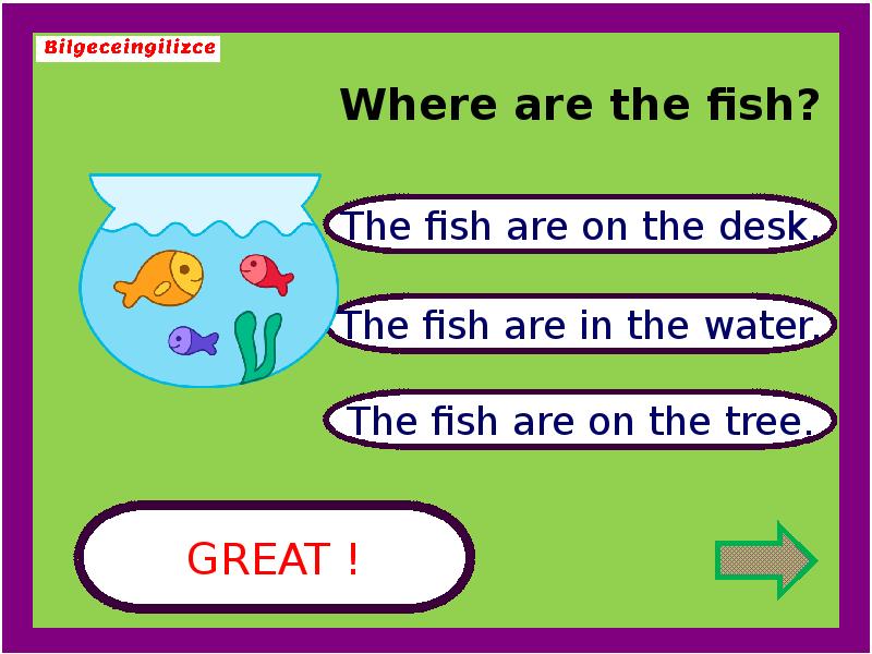 Where are you game. Задания на where is where are. Упражнения на where is where are. Where is для детей. Where is where are упражнения 2 класс.