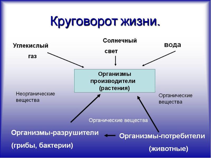 Великий круговорот земли