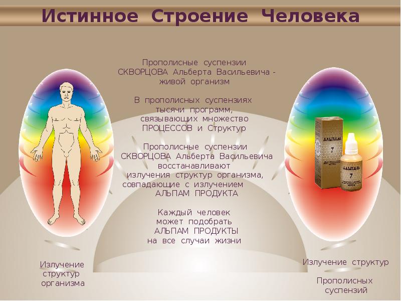 Излучения органов человека. Полевая структура человека. Истинное строение человека. Строение Альберта человека. Альпам строение человека.