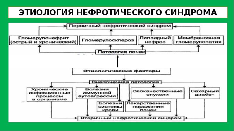 Почечные синдромы презентация