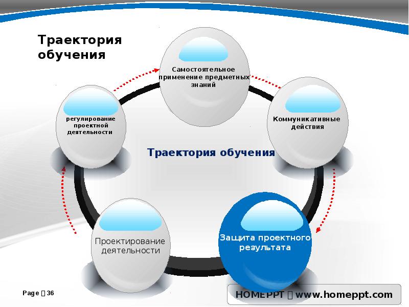 Проект траектория развития