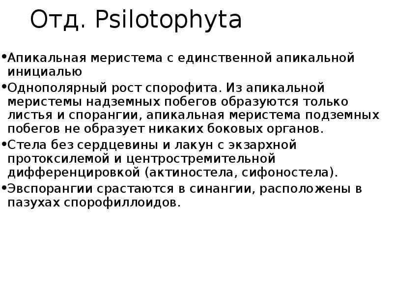 Отд. Psilotophyta Апикальная меристема с единственной апикальной инициалью Однополярный рост спорофита.