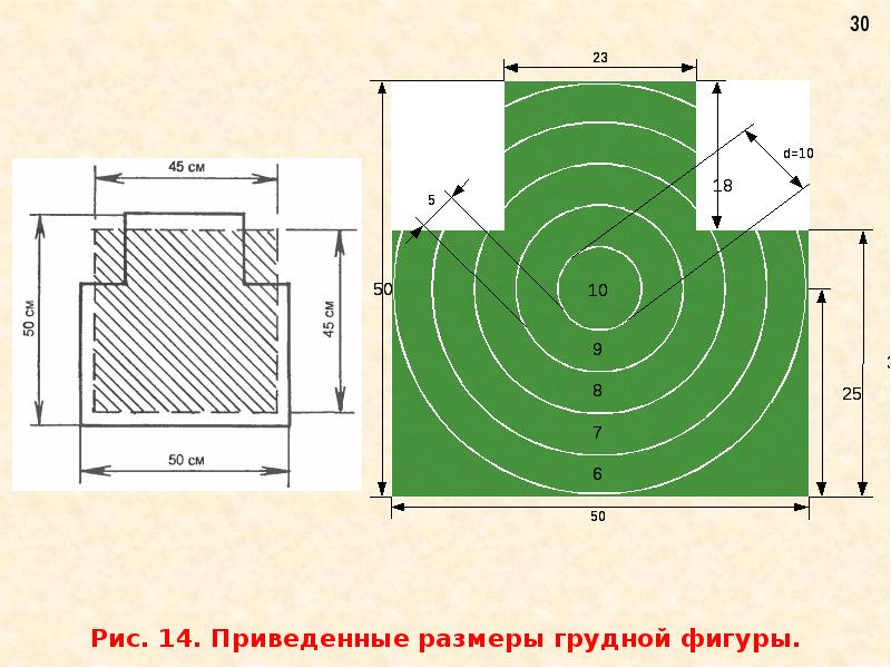 Приведенный диаметр. Огневая подготовка мишени. Мишень 6г. Грудная фигура Размеры. Габариты грудной мишени.