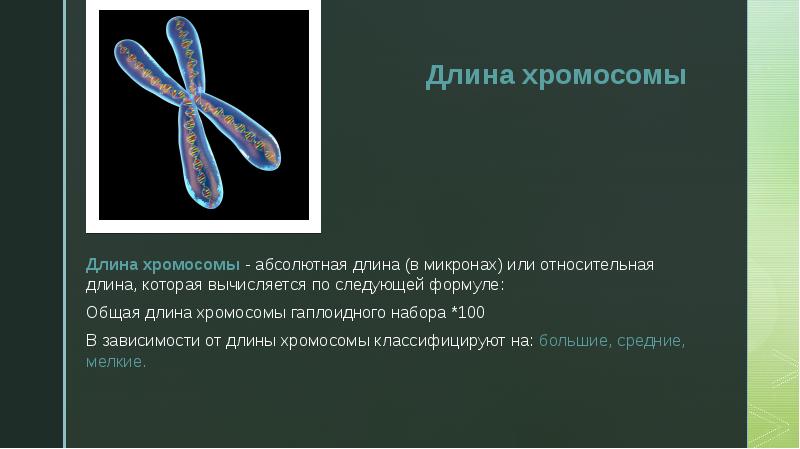 Совокупность хромосом называется