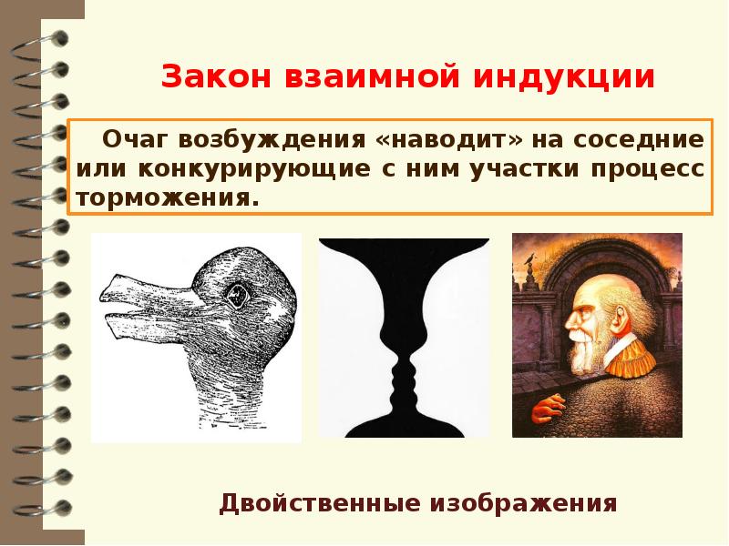 Вклад отечественных ученых в разработку учения. Вклад отечественных ученых в разработку учения о ВНД. Закон взаимной индукции. Вклад учёных в разработку учения о ВНД таблица. Павлов делил рефлексы на:.