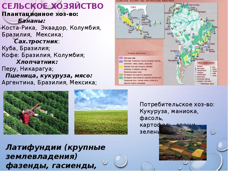 Хозяйство латинской америки. Страны плантационного хозяйства. Страны плантационного хозяйства список. Страны плантационного хозяйства список стран. Страны зависимого плантационного хозяйства.