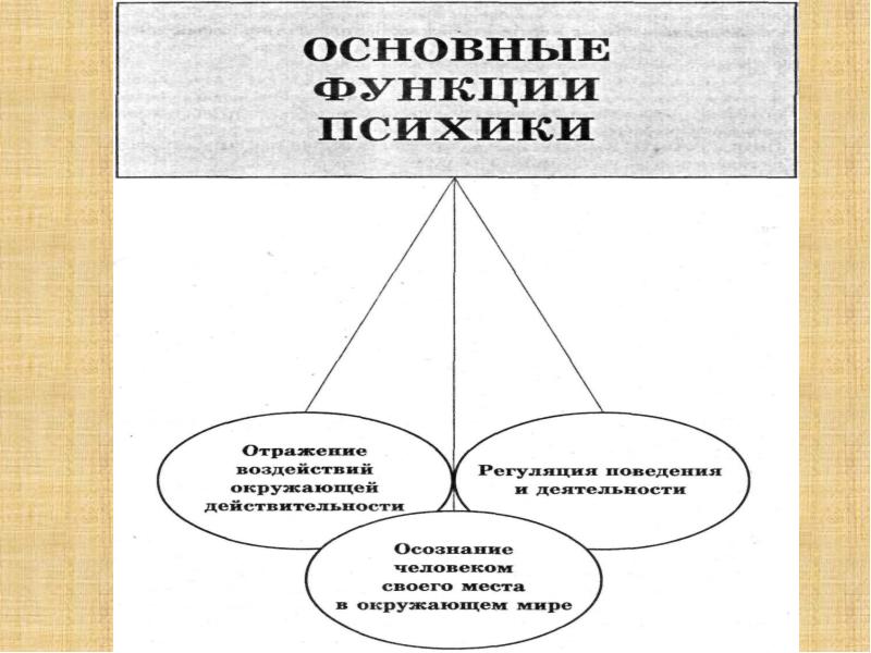 Основы общей психологии. Функции общей психологии. Предмет задачи и особенности психологии как науки. Предмет задачи и особенности современной психологии как наука. Каковы функции общей психологии.