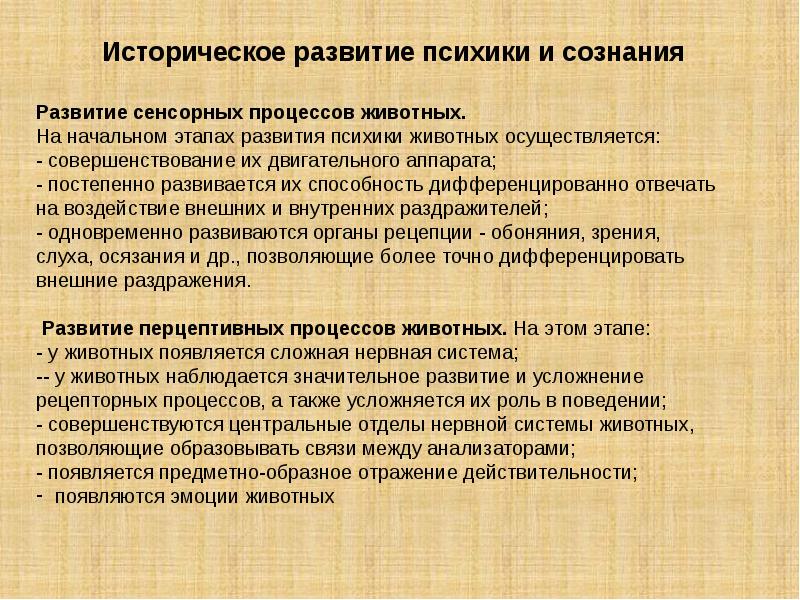 Стадии перцептивной психики. Перцептивная стадия развития психики. Стадия перцептивной психики у животных. Историческое развитие психики и сознания. Особенности развития психики животных.