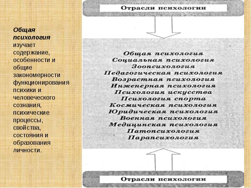 Общая психология характеристика. Общая психология изучает. Общая психология содержание. Общая психология изучает Общие закономерности. Общая характеристика психологии.