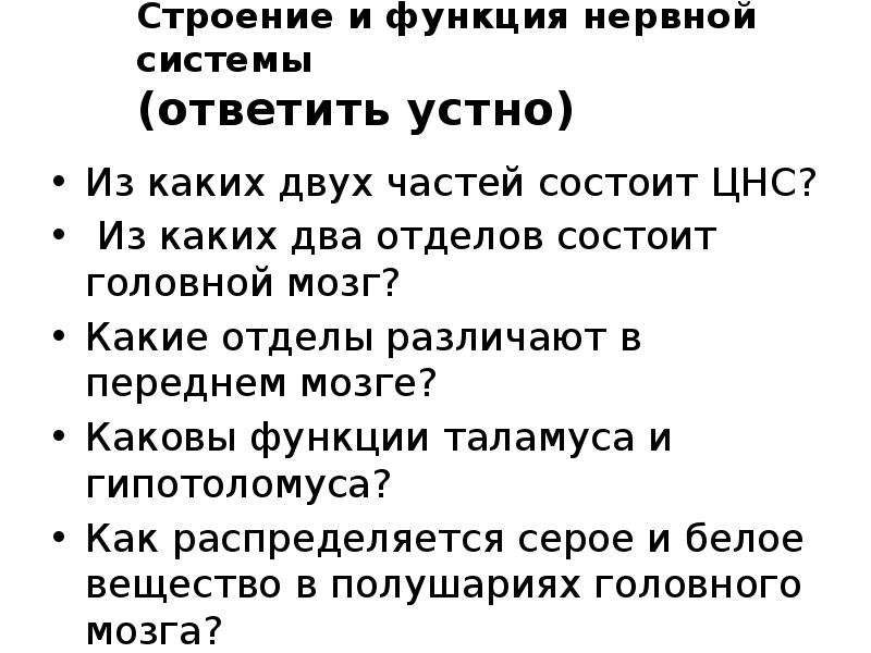 Из каких двух отделов состоит нервная система. Из каких двух отделов состоит нервная система