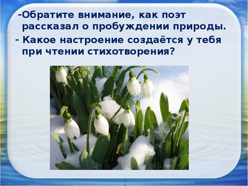 -Обратите внимание, как поэт рассказал о пробуждении природы.
-Обратите внимание, -Обратите внимание, как поэт рассказал о пробуждении природы.
-Обратите внимание,