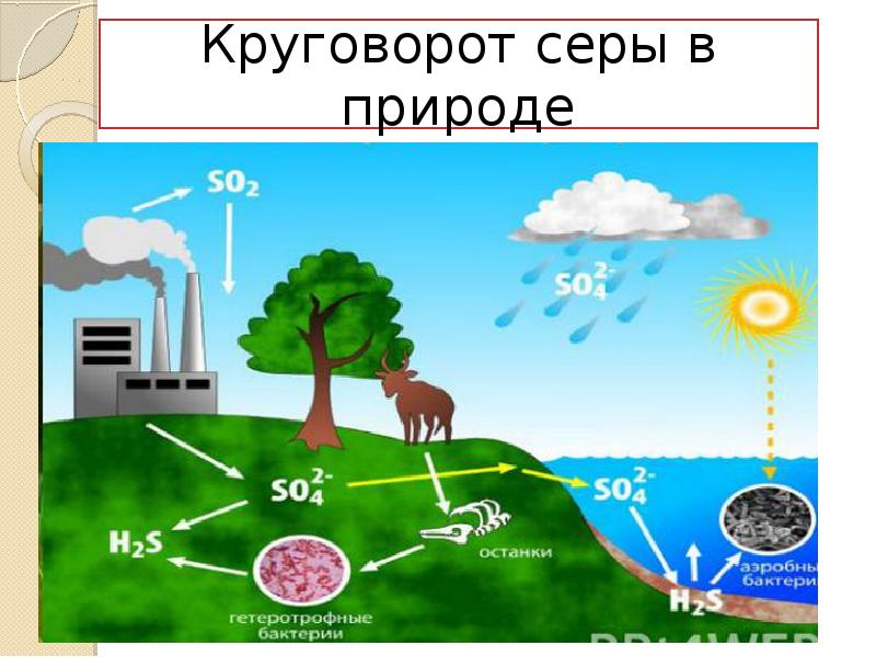 Как происходит круговорот в природе. Круговорот в природе. Круговорот веществ в природе вода. Модель круговорота в природе. Круговорот вредных веществ в природе.