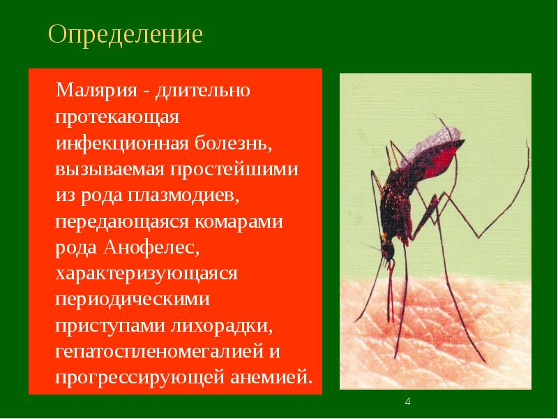 Симптомы малярии. Малярийный плазмодий и малярийный комар. Малярийный комар возбудитель заболевания. Инфекционные болезни малярийный комар. Малярийный плазмодий болезнь.