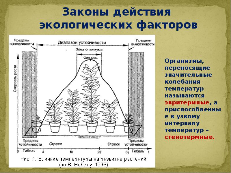 Влияние экологических факторов на живые организмы презентация