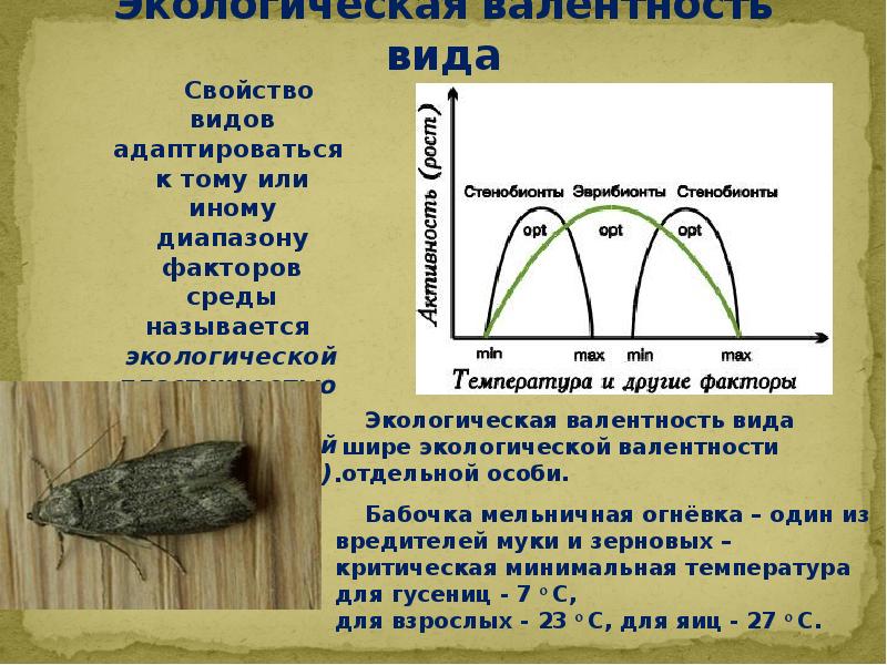 Влияние экологических факторов на организмы презентация 9 класс