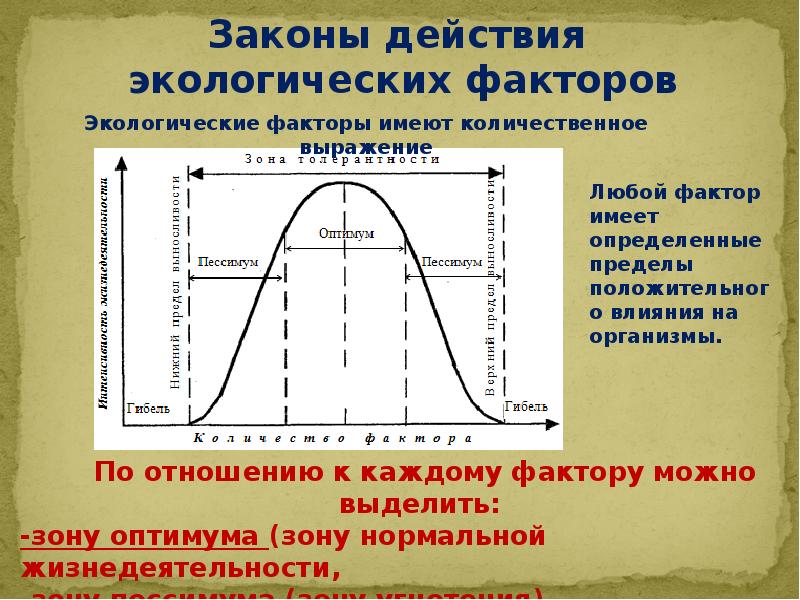 Влияние абиотических факторов на живые организмы презентация