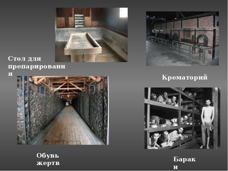 Презентация международный день узников фашистских концлагерей