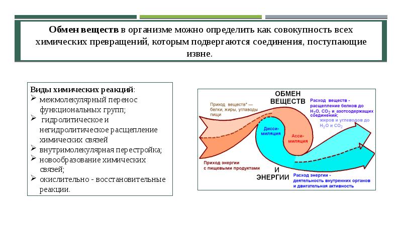 Доклад: Восстановительные средства