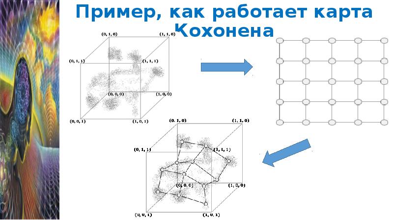 Карты кохонена презентация