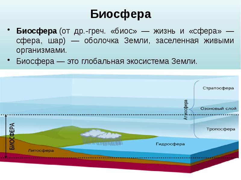 Что такое природа 5 класс презентация