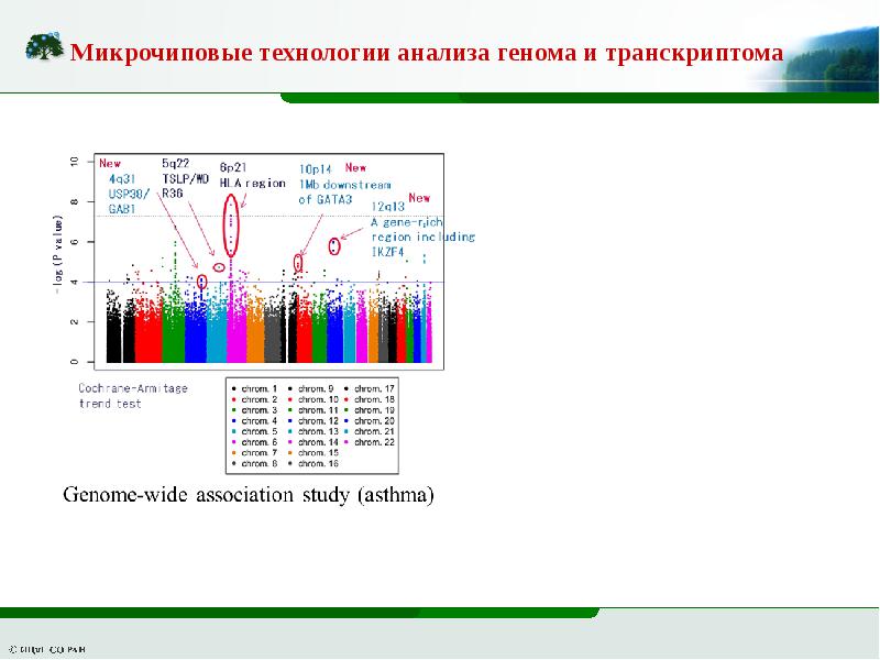 Геном анализы. Анализ генетических последовательностей. Анализ на секвенирование генома человека. Полногеномный анализ это. Анализ транскриптомов.