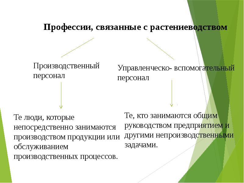 Обучение растениеводству. Профессии в растениеводстве. Профессии которые связаны с растениеводством. Презентация профессия Растениеводство. Профессии которые занимаются растениеводством.